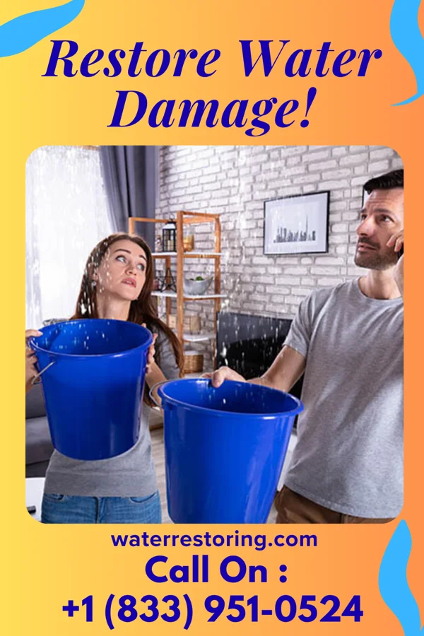 water restoration Vigilant Damage Recovery Group Old Washington
