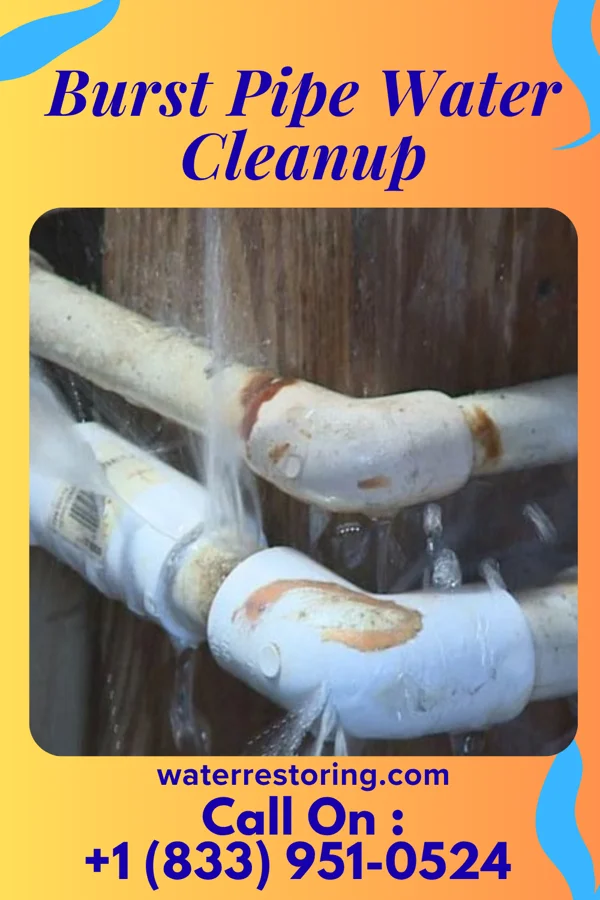 Burst Pipe Water Cleanup in Old Washington, OH