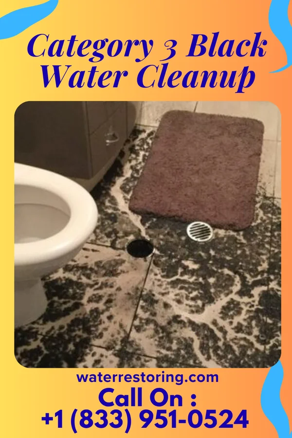 Category 3 Black Water Cleanup in Old Washington, OH