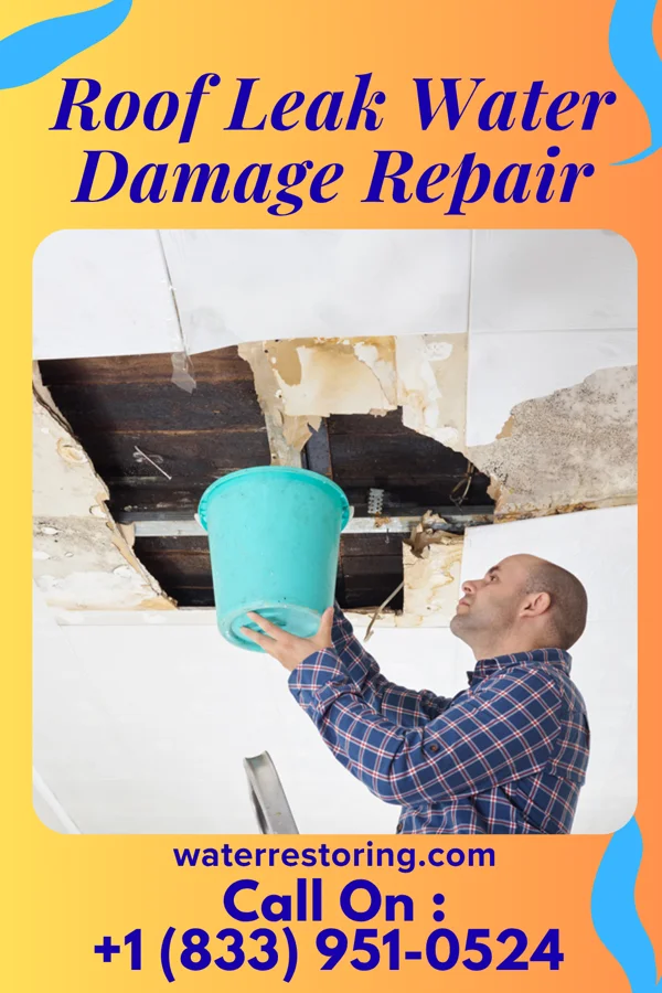 Roof Leak Water Damage Repair in Old Washington, OH
