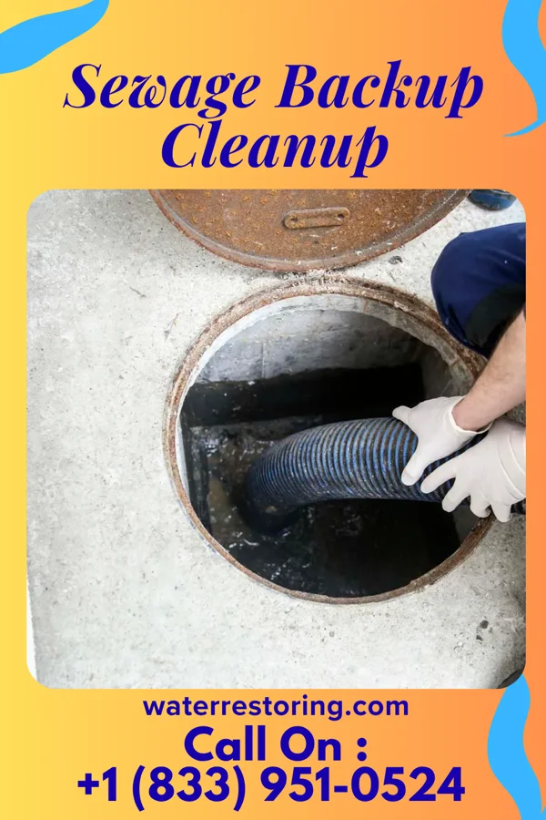 Sewage Backup Cleanup in Old Washington, OH