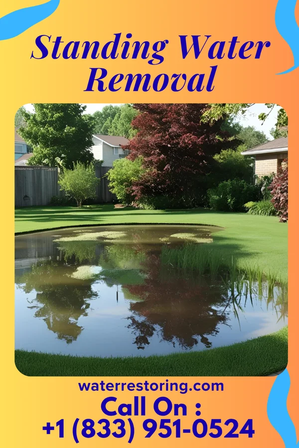 Standing Water Removal in Old Washington, OH